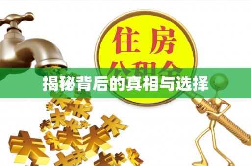 云梦揭秘背后的真相与选择