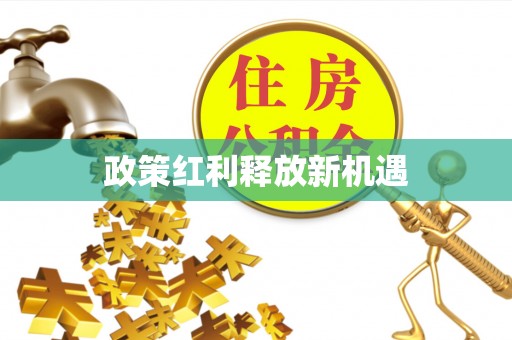 云梦政策红利释放新机遇