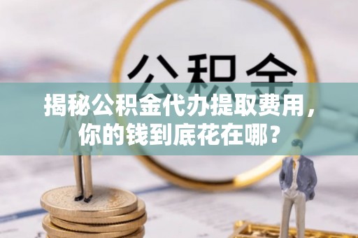 云梦揭秘公积金代办提取费用，你的钱到底花在哪？