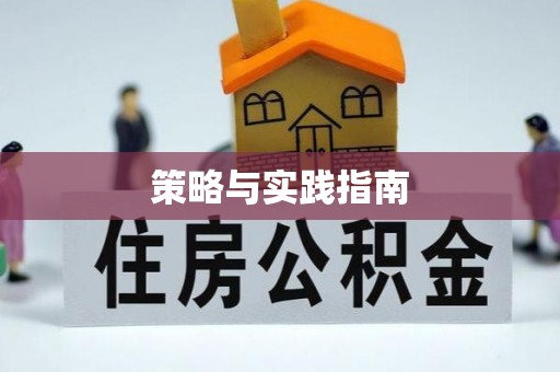 云梦策略与实践指南