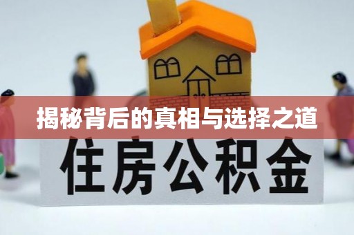 云梦揭秘背后的真相与选择之道