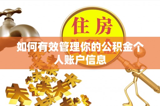 云梦如何有效管理你的公积金个人账户信息