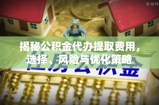 云梦揭秘公积金代办提取费用，选择、风险与优化策略