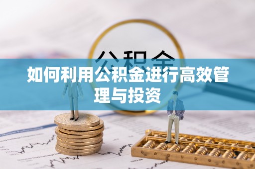 云梦如何利用公积金进行高效管理与投资