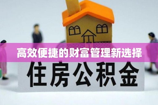 云梦高效便捷的财富管理新选择