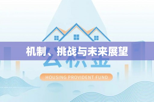 云梦机制、挑战与未来展望